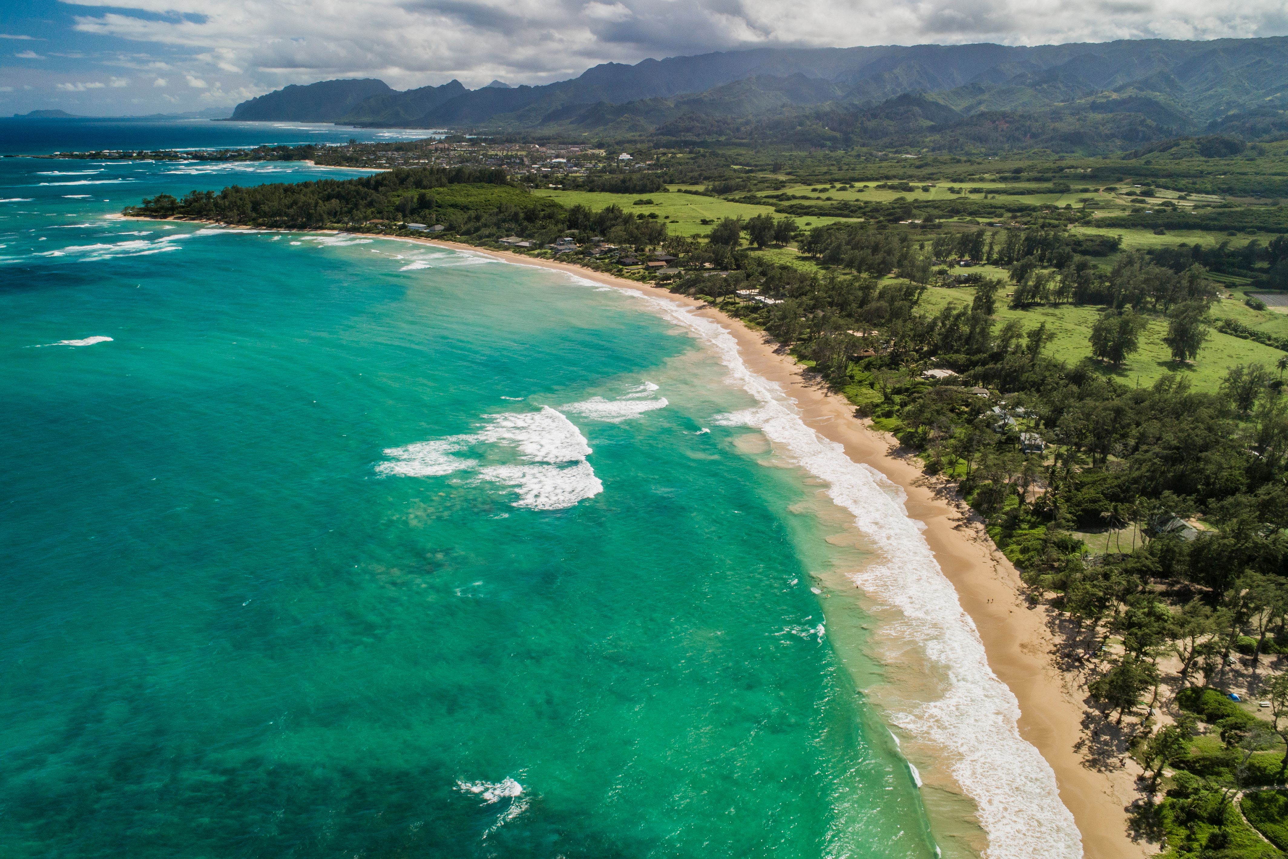 Craigslist Oasis Discovering The Perfect Oahu House Rental For Your Soul - kn5rtkn